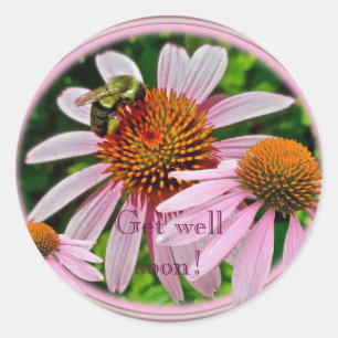 Adesivo Coneflower obtem bem logo