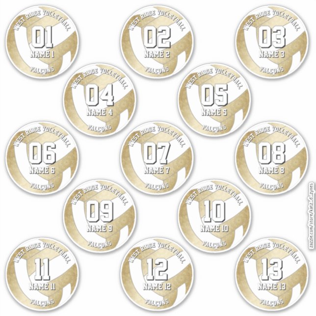 Adesivo conjunto de 13 nomes de jogadores de vôlei de ouro (Frente)
