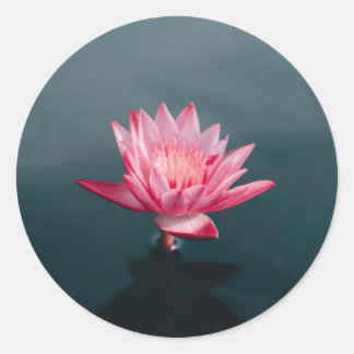 Adesivo Conjunto de Cartão de Saudação da Flor Rosa