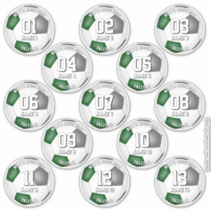 Adesivo conjunto de cores de time verde cinza 13 jogadores
