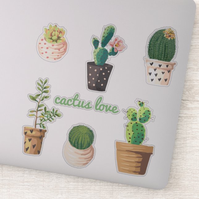 Adesivo Conjunto de Plantas de Cactus Potentes (Detalhe)