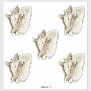 Adesivo conjunto de shell de vintage de 5