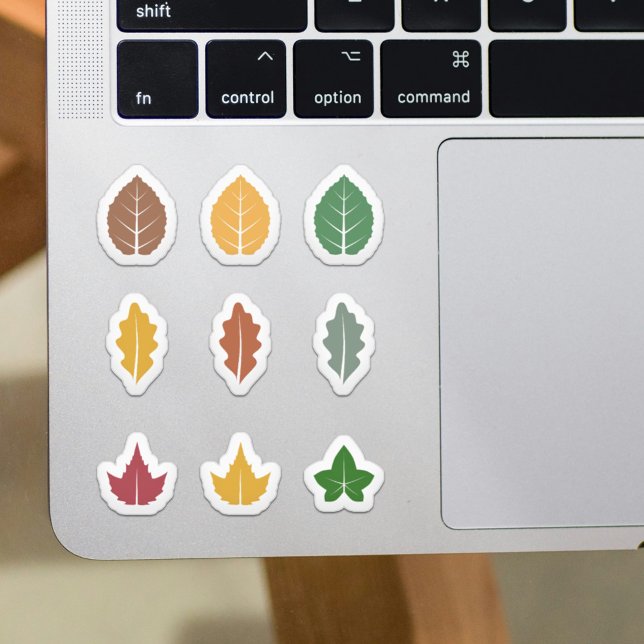 Adesivo Conjunto de Vinhetas de Folhas (Set of Fall Leaves Stickers)