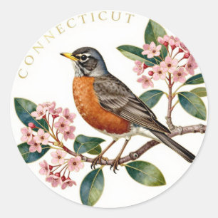 Adesivo Connecticut American Robin Estado Ave Botânica