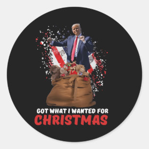 Adesivo Consegui O Que Queria No Natal - Trump Ganhou 2024