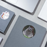 Conservação da Floresta de Foto de Raccoon Wildlif