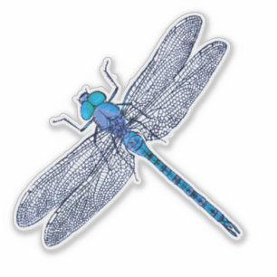 Adesivo Contorno de Dragonfly Azul