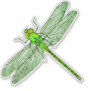 Adesivo Contorno de Dragonfly Verde