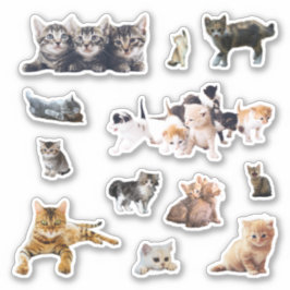 Adesivo Contorno de fotos de gatos e gatinhos