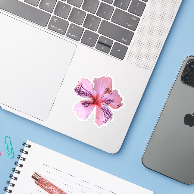 Adesivo Contorno Sticker Hibiscus (Notebook com iPhone)