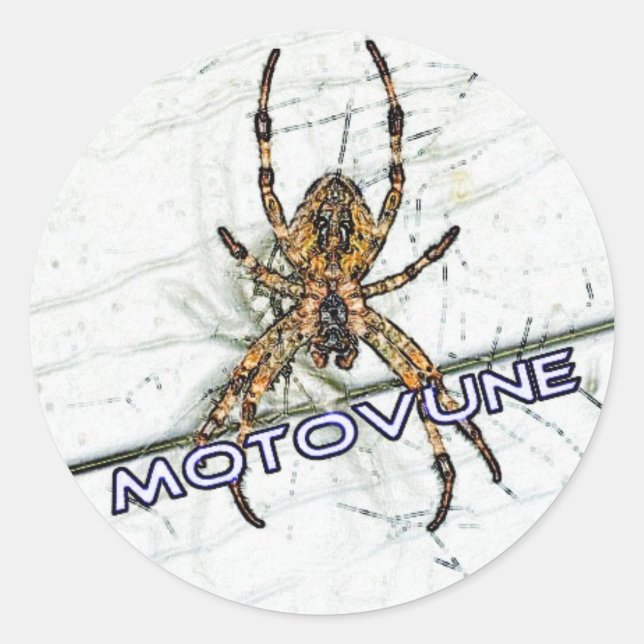 Adesivo cor da aranha MOTOVUNE (Frente)