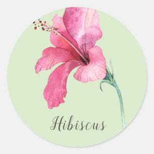 Adesivo Cor de Água da Flor do Hibiscus Rosa