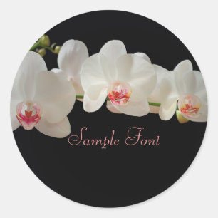 Adesivo Cor de fundo do orquídeo branco PixDezine/DIY
