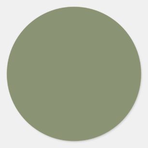 Adesivo Cor Sálida Verde Sage
