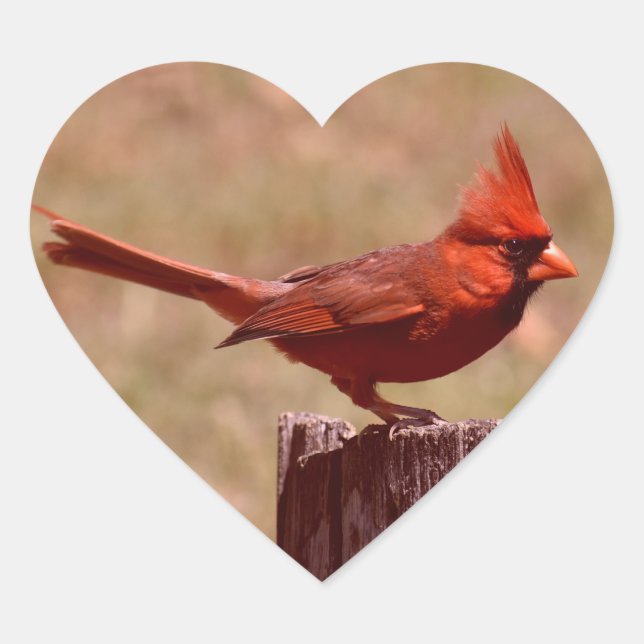 ADESIVO CORAÇÃO ADICIONAR FOTO (Frente)