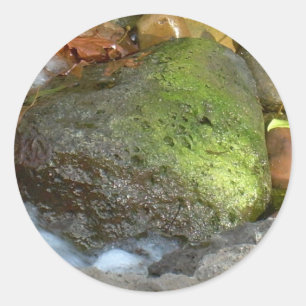 ADESIVO CORAÇÃO AFORTUNADO DO AMOR