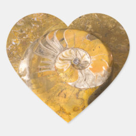 Adesivo Coração Ammonite e Outros Fósseis em Rocha Fotografia