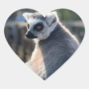 Adesivo Coração Amor selvagem: Para a Austrália