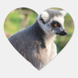 Adesivo Coração Amor Selvagem: Pela Austrália