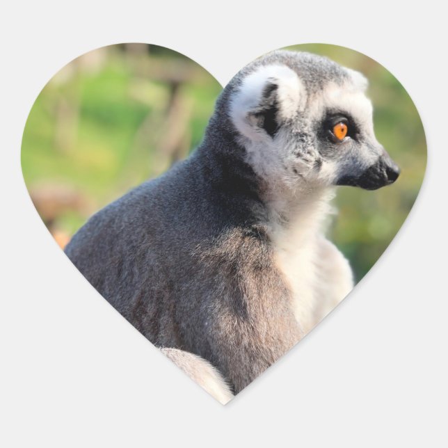 Adesivo Coração Amor Selvagem: Pela Austrália (Frente)