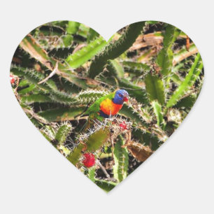 Adesivo Coração Arco-Íris Lorikeet no cactus