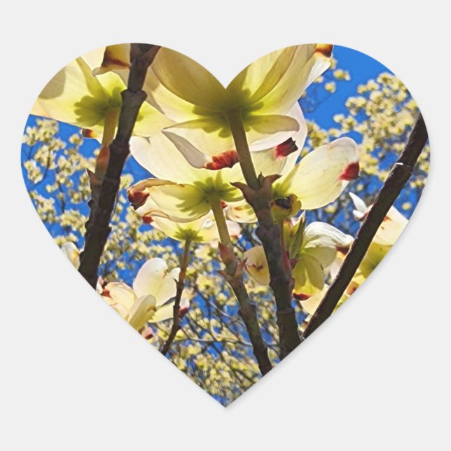 Adesivo Coração Árvore de madeira (Frente)