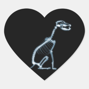ADESIVO CORAÇÃO ASSENTO DE ESQUELETO DO CÃO DO RAIO X - AZUL &