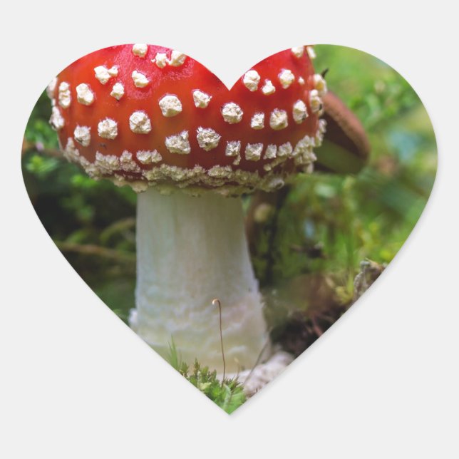 Adesivo Coração Autumn Beauty (Frente)