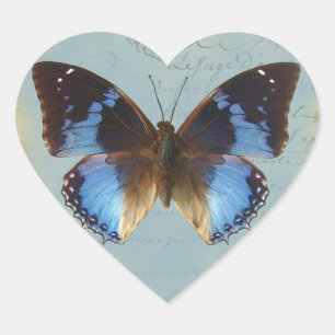 Adesivo Coração Azul de Papillon