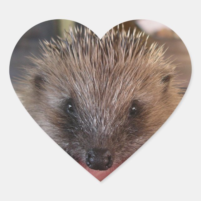 Adesivo Coração Baby Hedgehog Sticker (Frente)