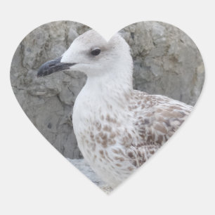 Adesivo Coração Baby Seagull Heart Sticker