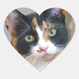 Adesivo Coração Bandido