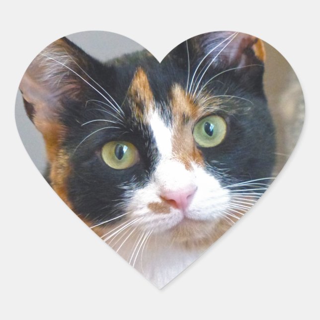 Adesivo Coração Bandido (Frente)