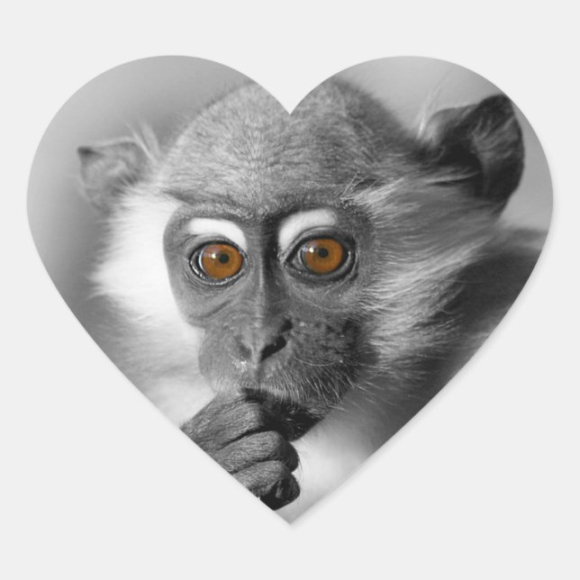 Adesivo Coração Bebê Mangabey Mackey (Frente)