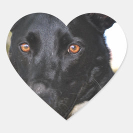 Adesivo Coração Belo cão com olhos aveludados