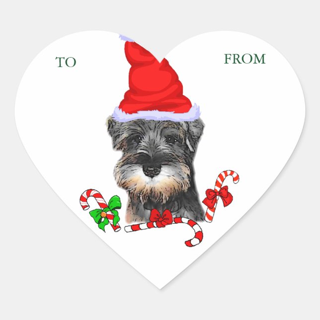 Adesivo Coração Belo Natal da Miniatura Schnauzer (Frente)