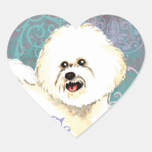 Adesivo Coração Bichon elegante Frise
