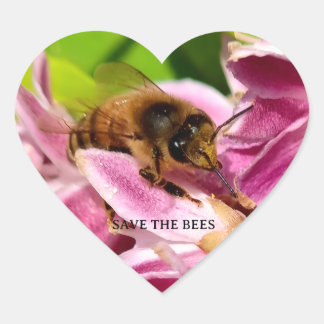 Adesivo Coração Biene zwischen rosa Blüten Naturfoto Sticker
