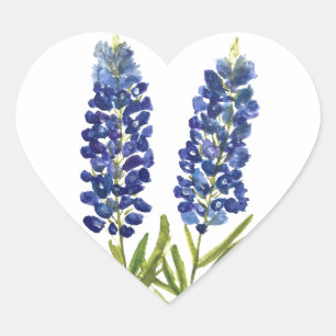 Adesivo Coração Bluebonnets Texas State Flowers Lupine Watercolor