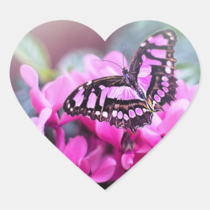 Adesivo Coração Bonita