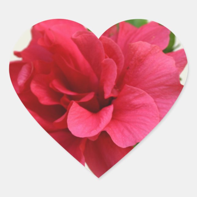 Adesivo Coração Bonito a rosa - Vinheta (Frente)