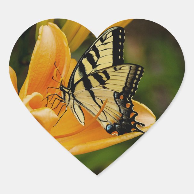 Adesivo Coração Borboleta (Frente)