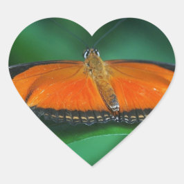 Adesivo Coração Borboleta laranja brilhante e preta na folha