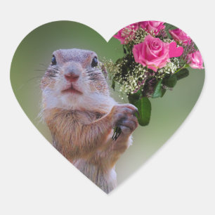 Adesivo Coração Buquê da marmota
