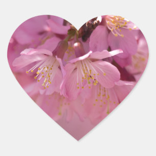 Adesivo Coração Buquê Delicado Rosa de Flores de Cerejeira Sakura