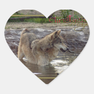 Adesivo Coração c-2011-grey-wolf-005