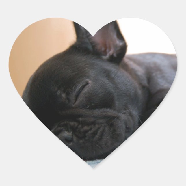 Adesivo Coração Cachorro Negro Pet Puppy Cute Love Destino (Frente)