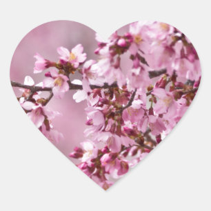 Adesivo Coração Camélias Sakura Camadas Rosa Pastel