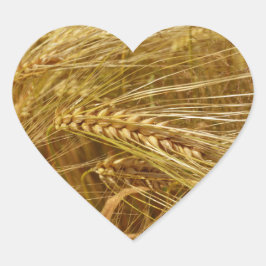 Adesivo Coração Campo de trigo. É o tempo de colheita!