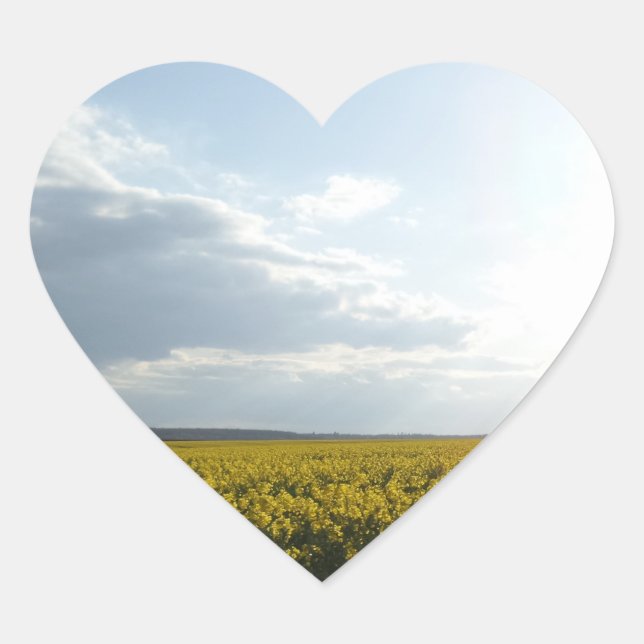 Adesivo Coração Canola Field Heart Sticker (Frente)